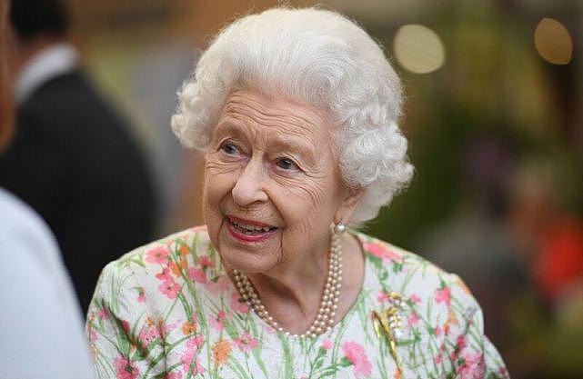 英王室为G7举行招待会！女王粉绿花裙最耀眼，凯特白裙输给卡米拉（组图） - 5