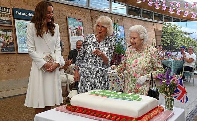 英王室为G7举行招待会！女王粉绿花裙最耀眼，凯特白裙输给卡米拉（组图） - 2