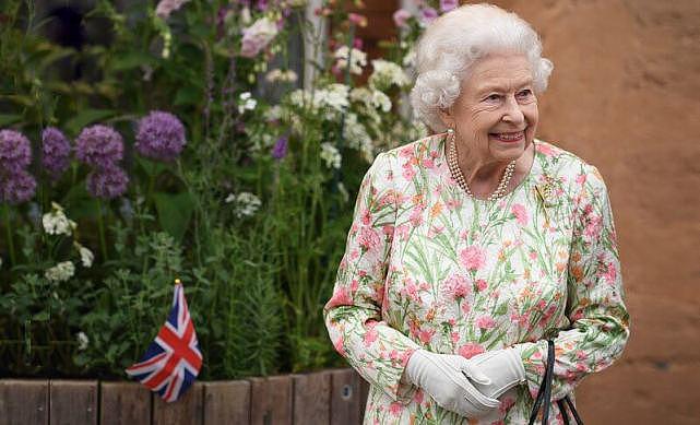 英王室为G7举行招待会！女王粉绿花裙最耀眼，凯特白裙输给卡米拉（组图） - 6