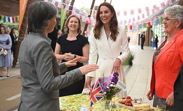 英王室为G7举行招待会！女王粉绿花裙最耀眼，凯特白裙输给卡米拉（组图） - 12