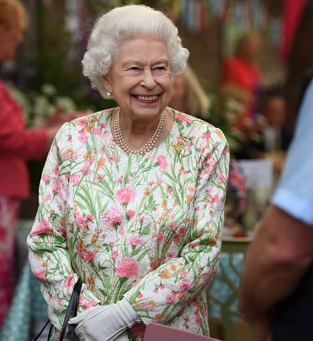 英王室为G7举行招待会！女王粉绿花裙最耀眼，凯特白裙输给卡米拉（组图） - 13
