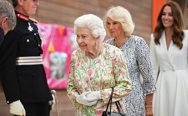 英王室为G7举行招待会！女王粉绿花裙最耀眼，凯特白裙输给卡米拉（组图） - 1