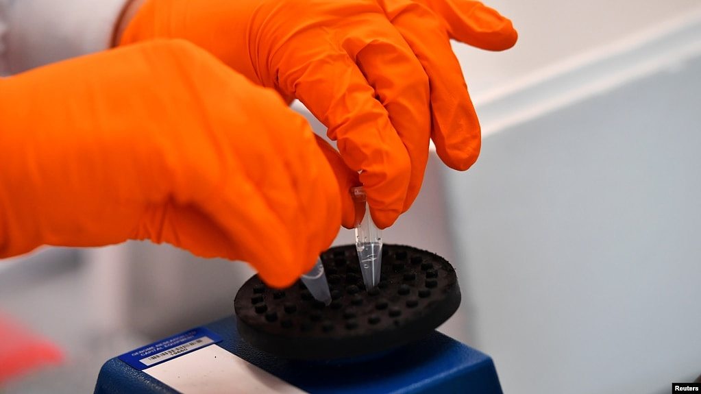 一名英国科学家在实验室里进行有关新冠病毒研究的实验。（2021年3月12日）