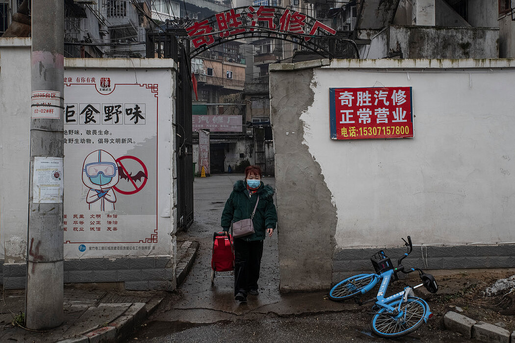 1月，武汉的一张宣传海报建议人们拒绝食用野味。