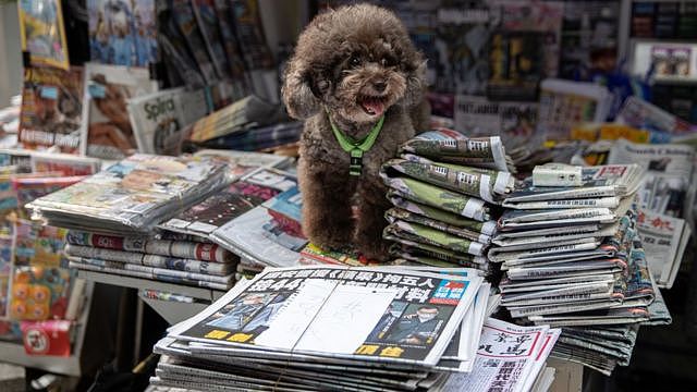 香港某报摊前一只贵妇犬站在一叠供“免费取阅”的《苹果日报》前（18/6/2011）