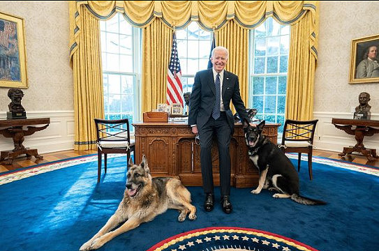 ▲▼美国总统拜登和两只爱犬。 （图／翻摄自Instagram／Potus）