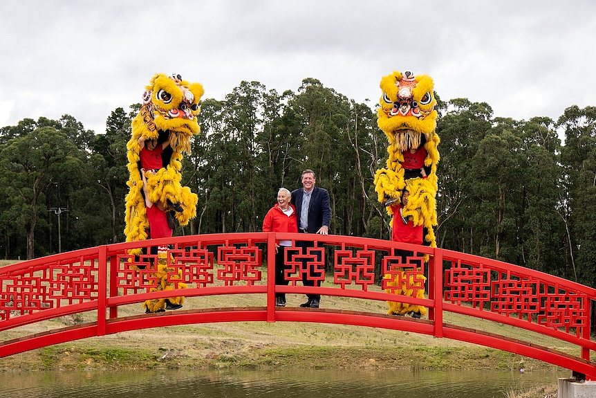 一堆夫妇站在中式拱桥上，两侧有舞狮队。