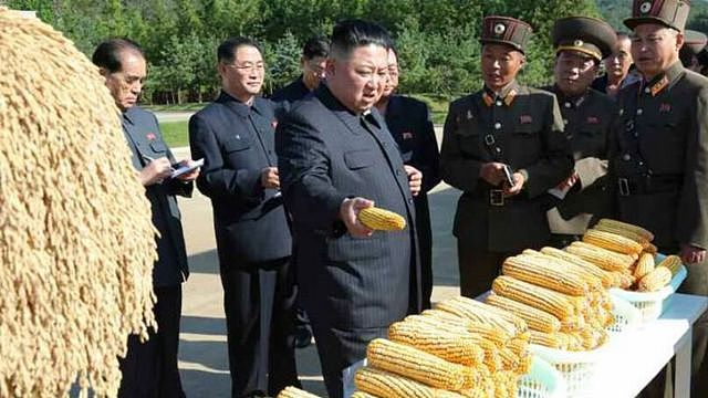 2019年金正恩视察丰收