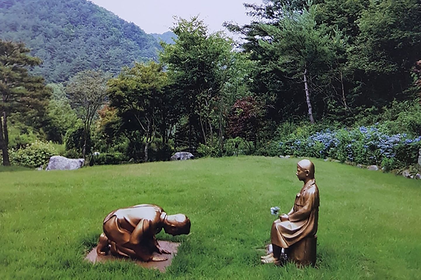 韩国自生植物园园长在接受日本共同社采访时还提及该雕像由自己出资打造。（AP）