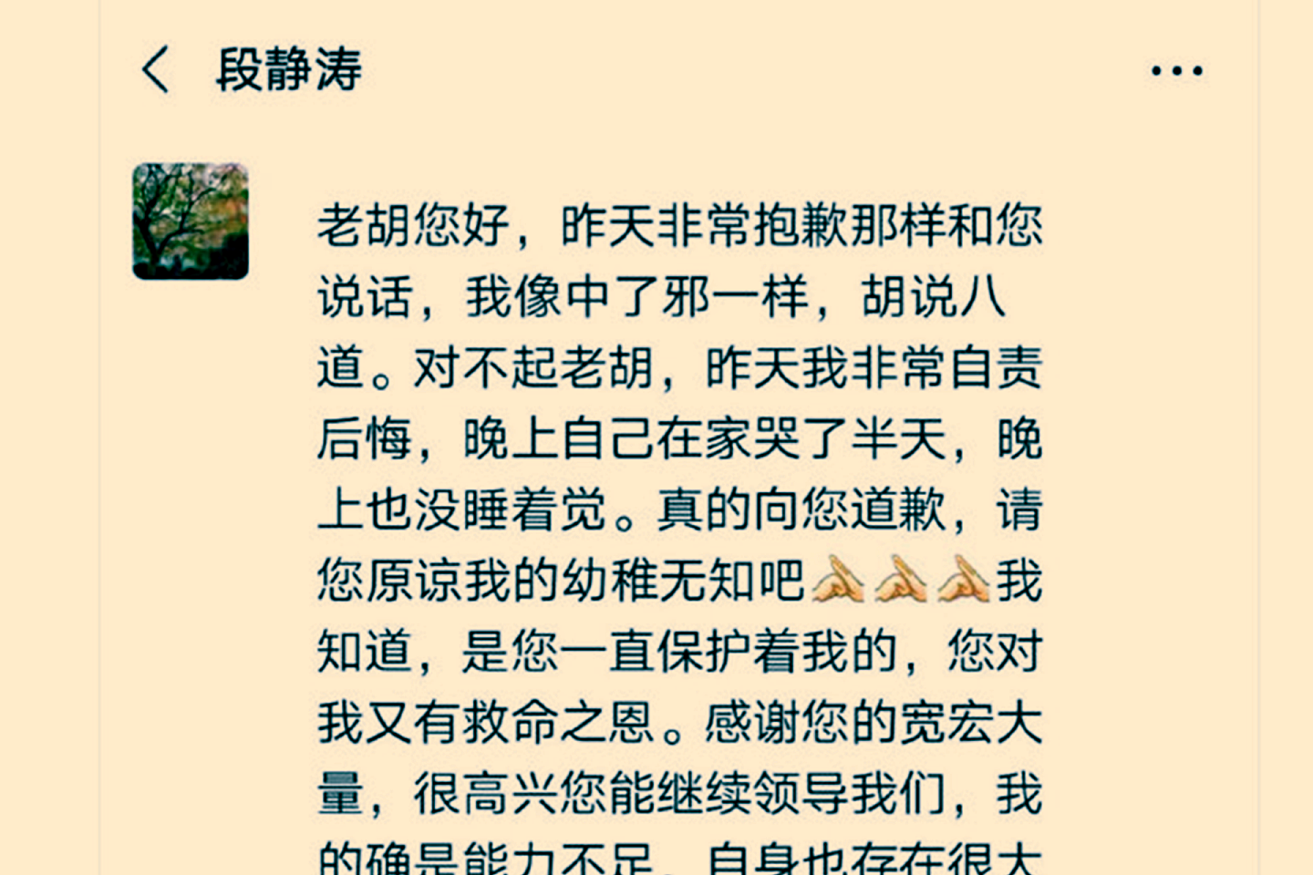 胡锡进还公布了段静涛此前与他的谈话内容。（微博@卢旭宁）