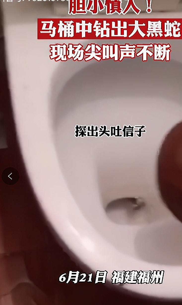 业主自家厕所惊现巨蛇 不停舞动铺满整个马桶 网友：吓得我屎都不敢出来了