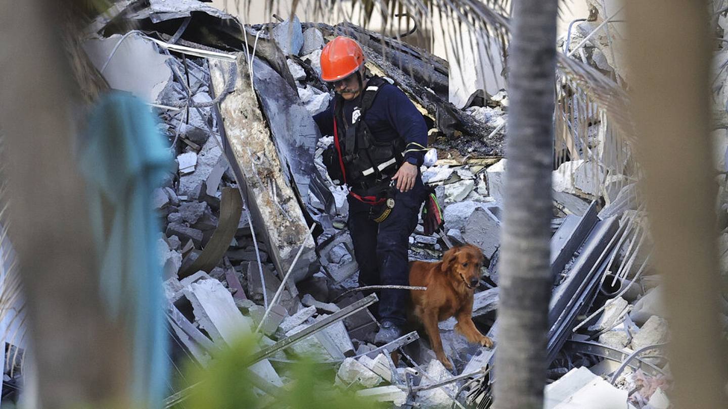 美國邁阿密塌樓：圖為6月24日，消防員攜搜救犬到場，尋找近百名失蹤人士。（AP）