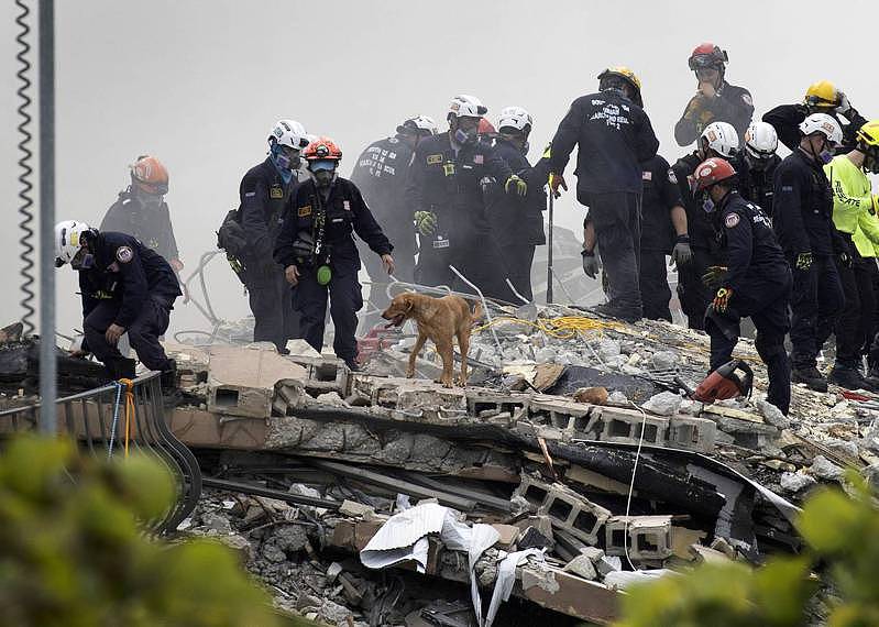 迈阿密海滨公寓倒塌后第二天，搜救人员出动警犬在废墟中继续搜索生命迹象。 (Gett...