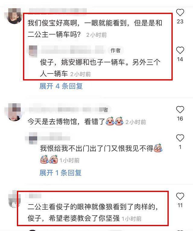 《中餐厅》姚安娜多被骂，节目未播就遭受网暴？（组图） - 35