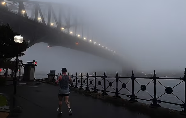 悉尼再遭浓雾“锁城”，海港大桥“隐身”，所有渡轮服务取消（视频/组图） - 4