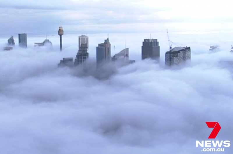 悉尼再遭浓雾“锁城”，海港大桥“隐身”，所有渡轮服务取消（视频/组图） - 3