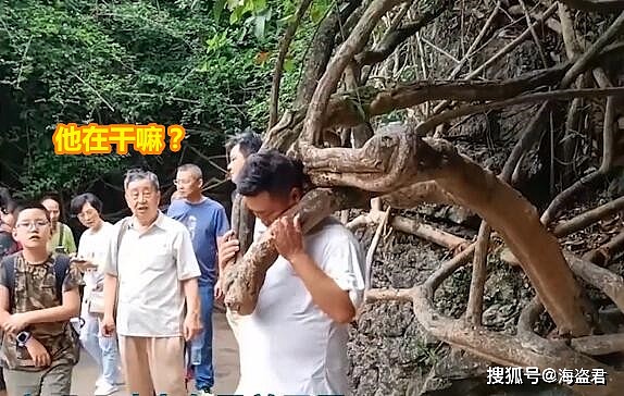 贵州男子将头伸进树杈拍照，结果头被卡拔不出，被人一波又一波围观（视频/组图） - 5