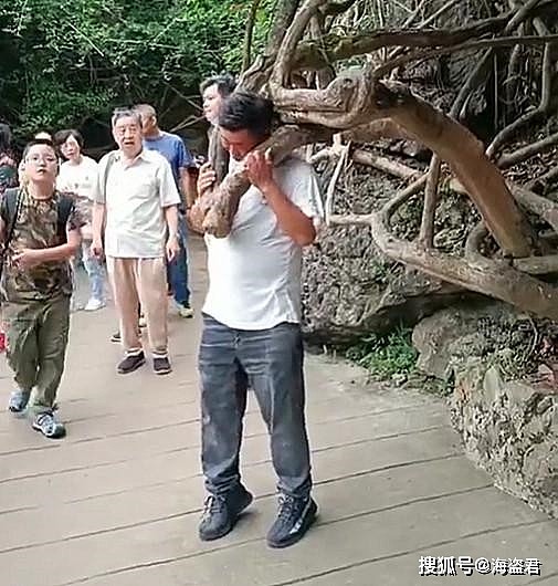 贵州男子将头伸进树杈拍照，结果头被卡拔不出，被人一波又一波围观（视频/组图） - 6