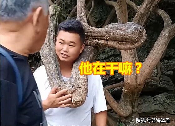 贵州男子将头伸进树杈拍照，结果头被卡拔不出，被人一波又一波围观（视频/组图） - 4