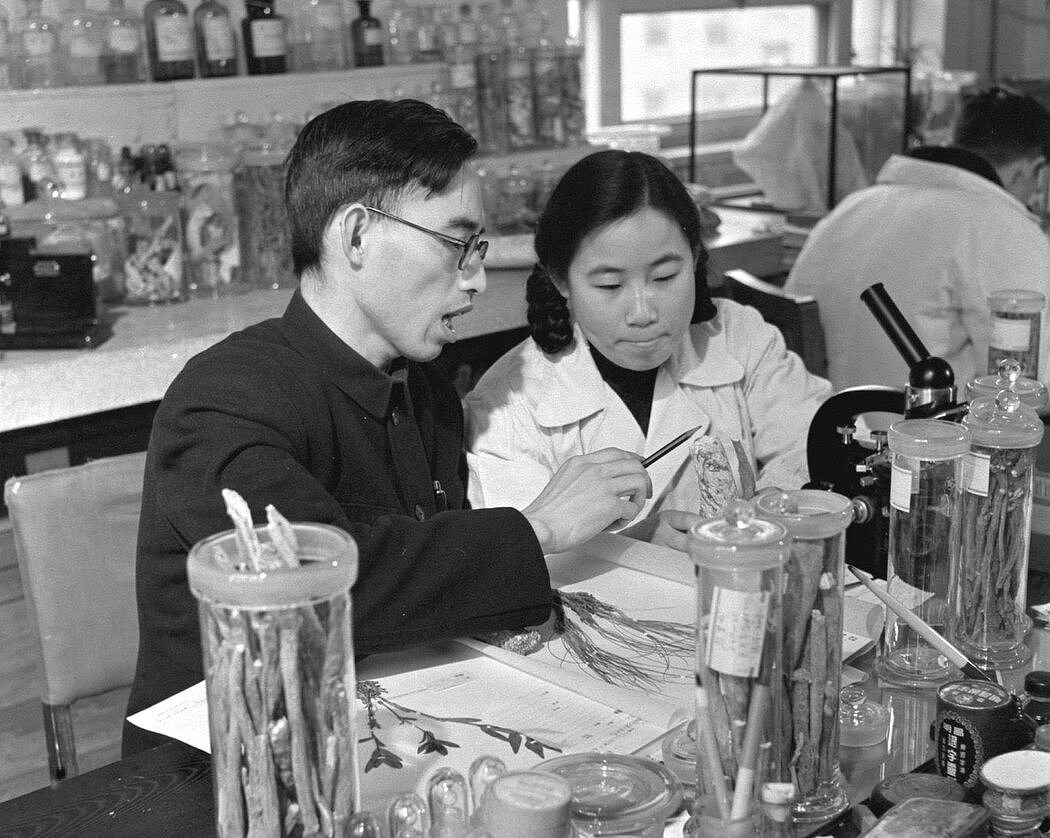 中国中医科学院药理学家屠呦呦（右）在20世纪50年代与楼之岑教授一起工作。
