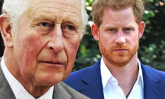 查尔斯不顾对女王不敬，绝不允许哈里梅根再登上白金汉宫的阳台（组图） - 6