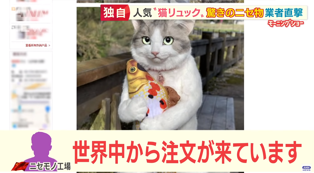 又被挂了！日本博主制作“猫猫背包”惨被国内山寨！品质恶劣，居然全世界热卖，令人哭笑不得