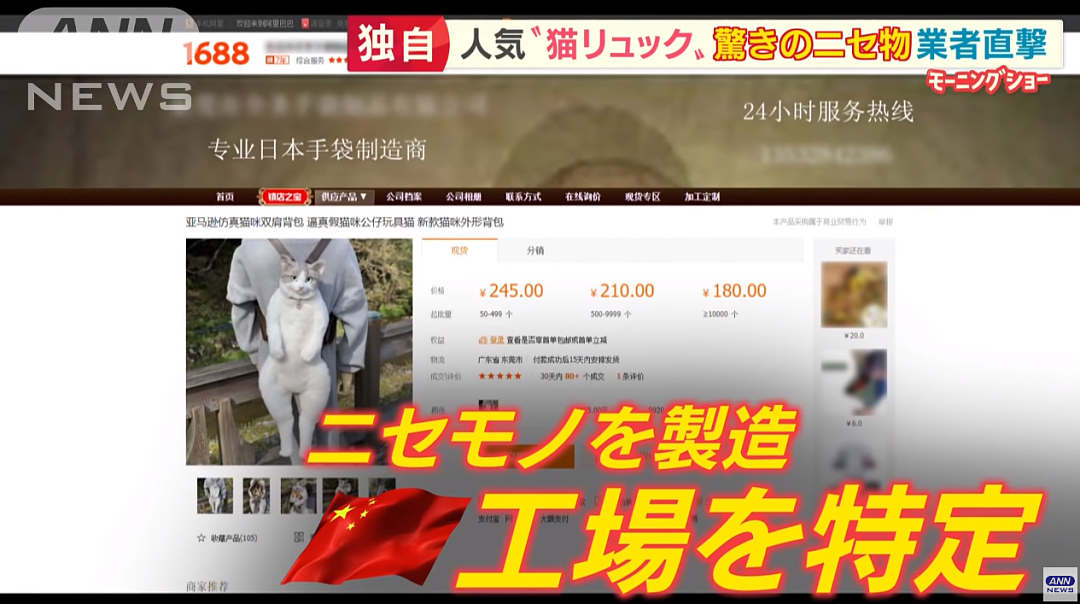 又被挂了！日本博主制作“猫猫背包”惨被国内山寨！品质恶劣，居然全世界热卖，令人哭笑不得