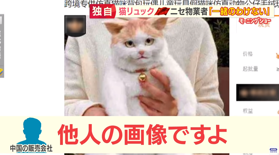 又被挂了！日本博主制作“猫猫背包”惨被国内山寨！品质恶劣，居然全世界热卖，令人哭笑不得