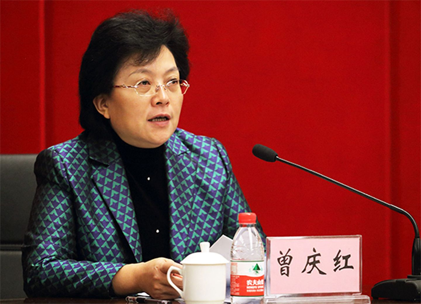 曾任重庆市委常委组织部长的曾庆红被认为与中共重手整顿互联网巨头有关。（重庆江北政府网）
