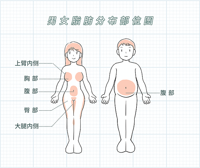 为啥女孩子的身体，都是白白嫩嫩滑滑的啊？（组图） - 28