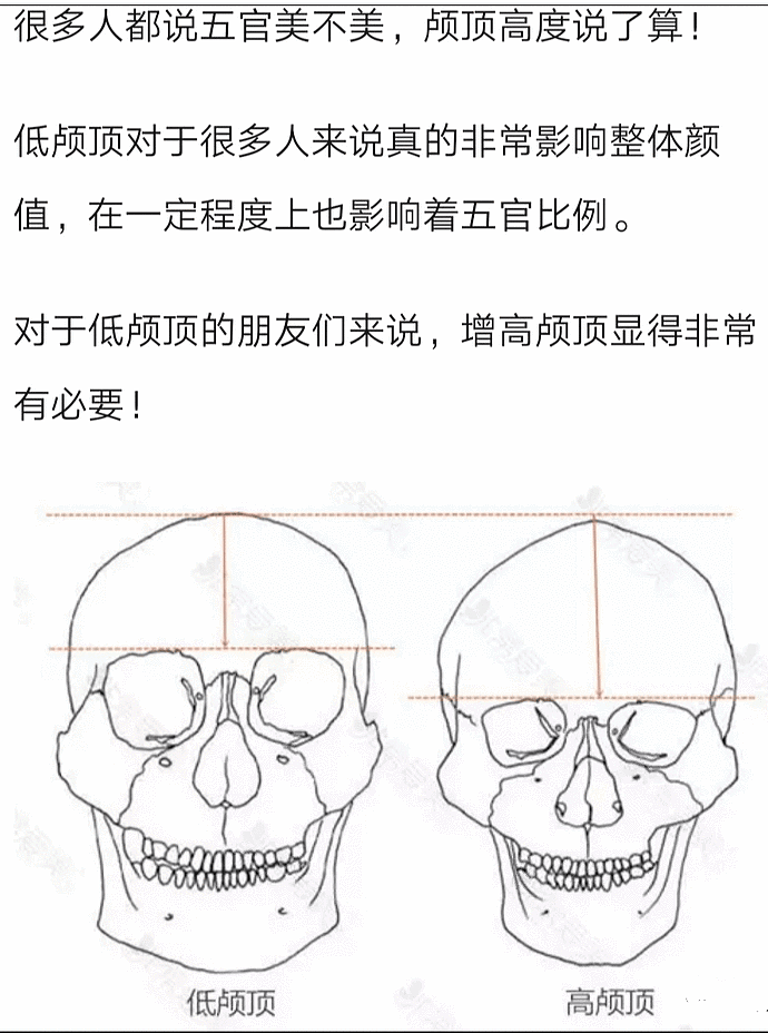 超美网红抽脂后活活疼死，生前照片惨不忍睹！割阴唇、开头颅…为变美太疯狂（组图） - 24