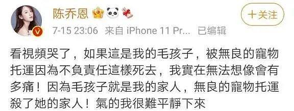 霸榜热搜，明星也愤怒发声！金毛Siri惨死之谜：涉事公司电话被打爆，被曝无相关资质（组图） - 4