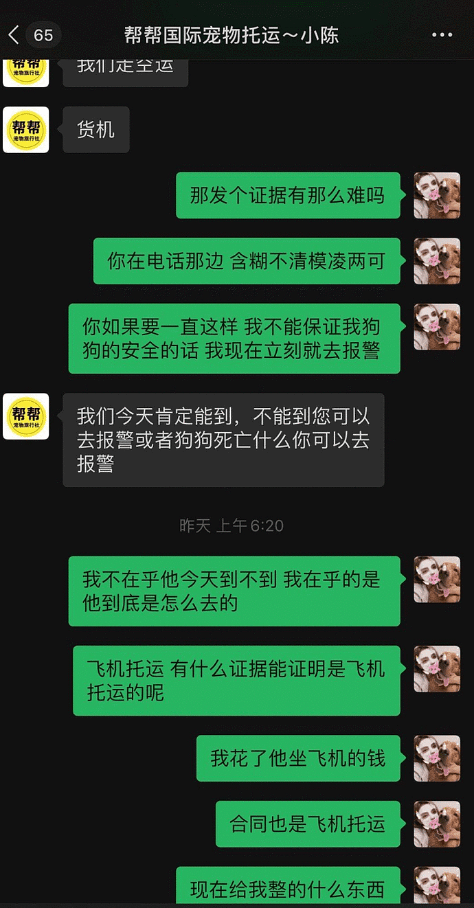 霸榜热搜，明星也愤怒发声！金毛Siri惨死之谜：涉事公司电话被打爆，被曝无相关资质（组图） - 5