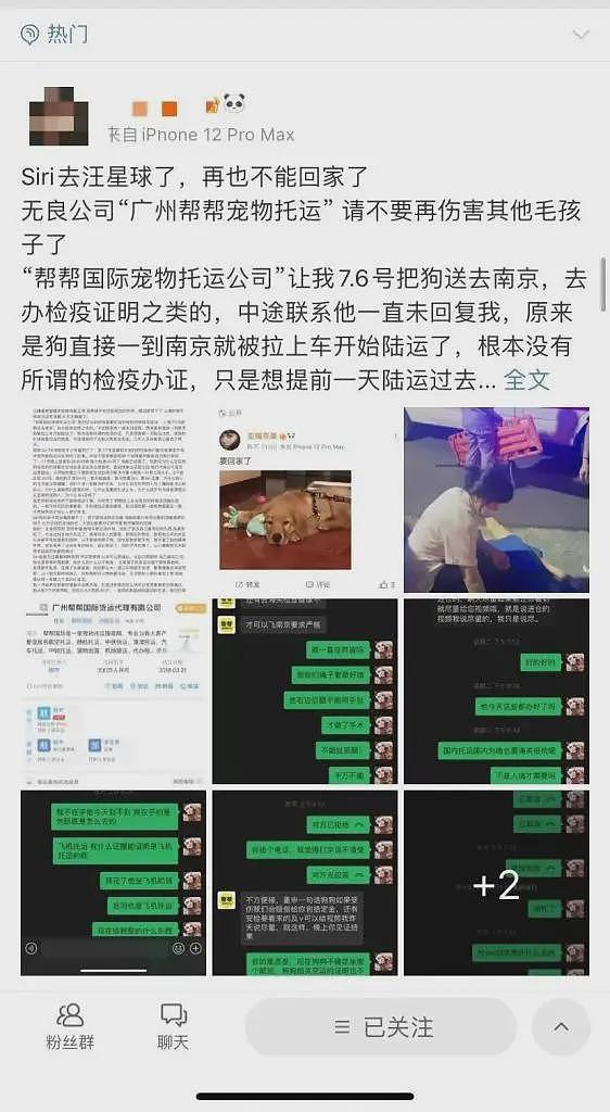 霸榜热搜，明星也愤怒发声！金毛Siri惨死之谜：涉事公司电话被打爆，被曝无相关资质（组图） - 6