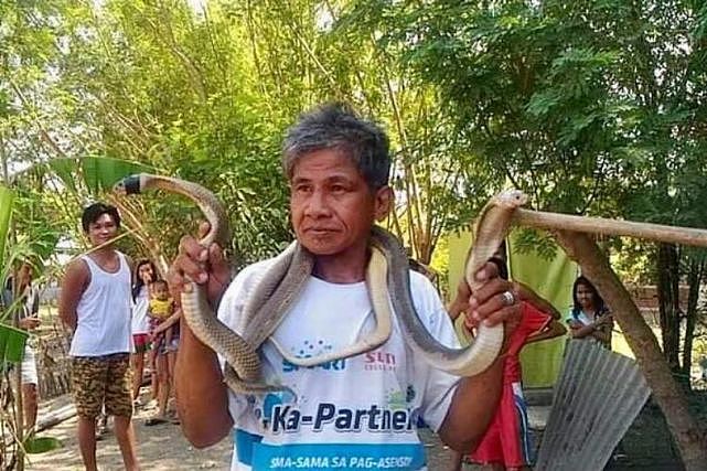 菲律宾62岁“蛇人”声称对蛇毒免疫，被当地眼镜蛇咬死