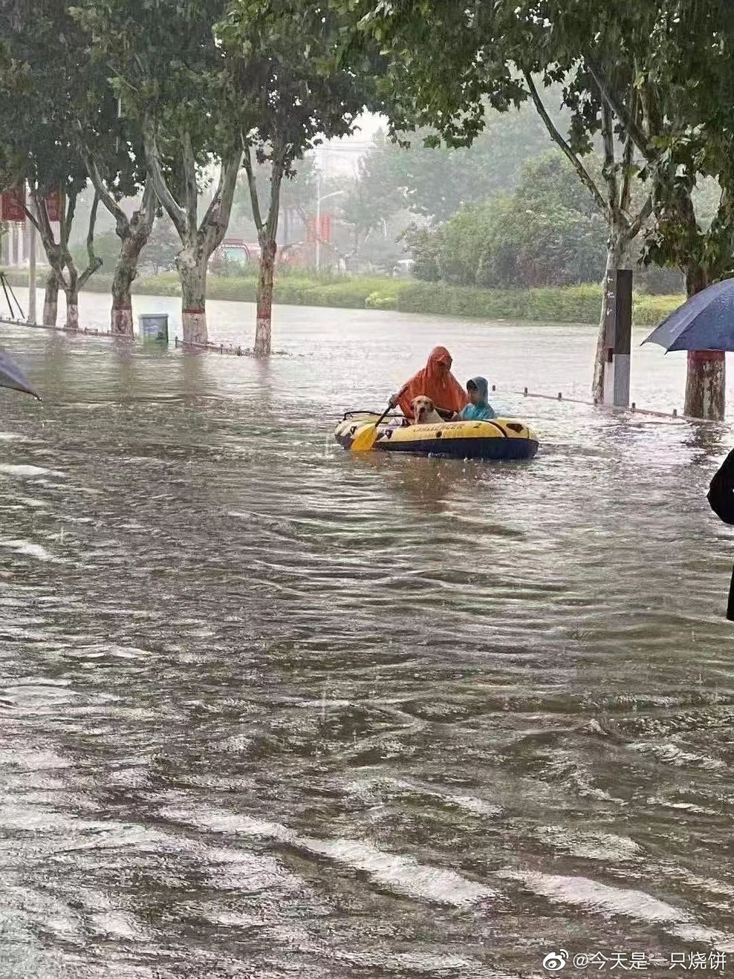 根据中央气象台的监测数据显示，除了广州部分地区有大的降雨之外，其中前20多位降水量的站都是在河南。（微博@今天是一只烧饼）