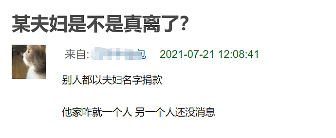 近百位明星为河南捐款，张庭500万名列第一，黄晓明夫妇分开捐（组图） - 9