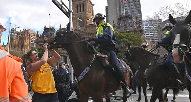 悉尼示威者挥拳殴打警马，照片网上疯传！警方连夜将其逮捕（视频/组图） - 3