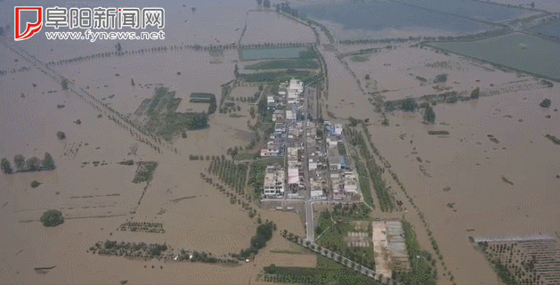 上保河南下保江苏，一年年隐身在洪水背后的安徽人卑微得叫人心疼（组图） - 1