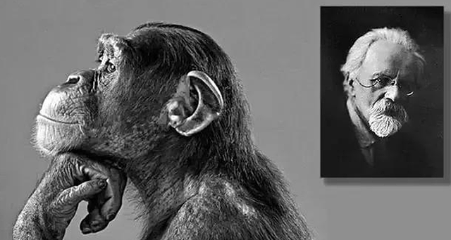 疯狂科学家让5名女性接受猩猩精子，只为得到猿人，后来怎样了？（组图） - 5