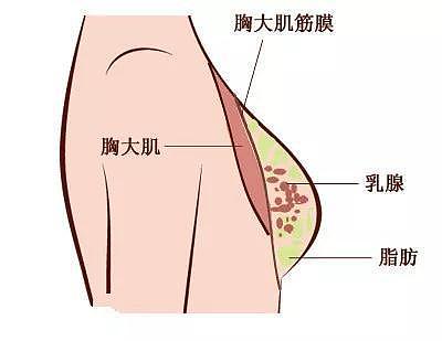 邹市明老婆的胸又上热搜，奶3个孩子还这么坚挺，你还不健身吗？（组图） - 11