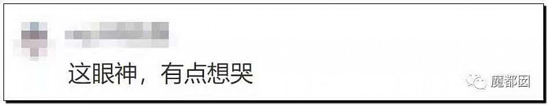 暴怒！日本对中国水球姑娘残忍窒息犯规+体操疯狂恶心压分（组图） - 98