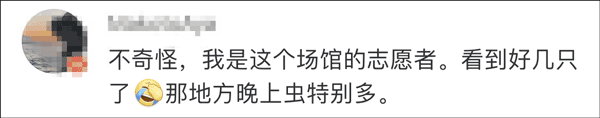 西班牙阿根廷女曲比赛，东京奥运会给了蟑螂5秒特写（组图） - 4