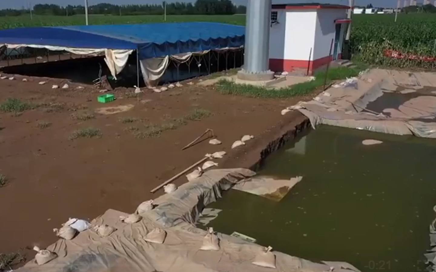 河南的殷墟部分考古工地遭雨水漫灌。 （影片截图/新华社）