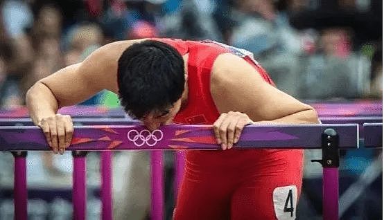奥运冠军被网暴“滚出中国”，背后的残忍你想象不到（组图） - 35