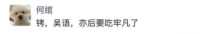 【爆笑】“牢饭很大，你忍一下！”吴京吴签梦幻联动，哈哈哈全网段子满天飞（组图） - 13