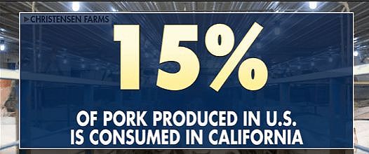 捍卫猪权？加州动物福利法案明年初生效，恐致当地猪肉价飙涨50%（图） - 2