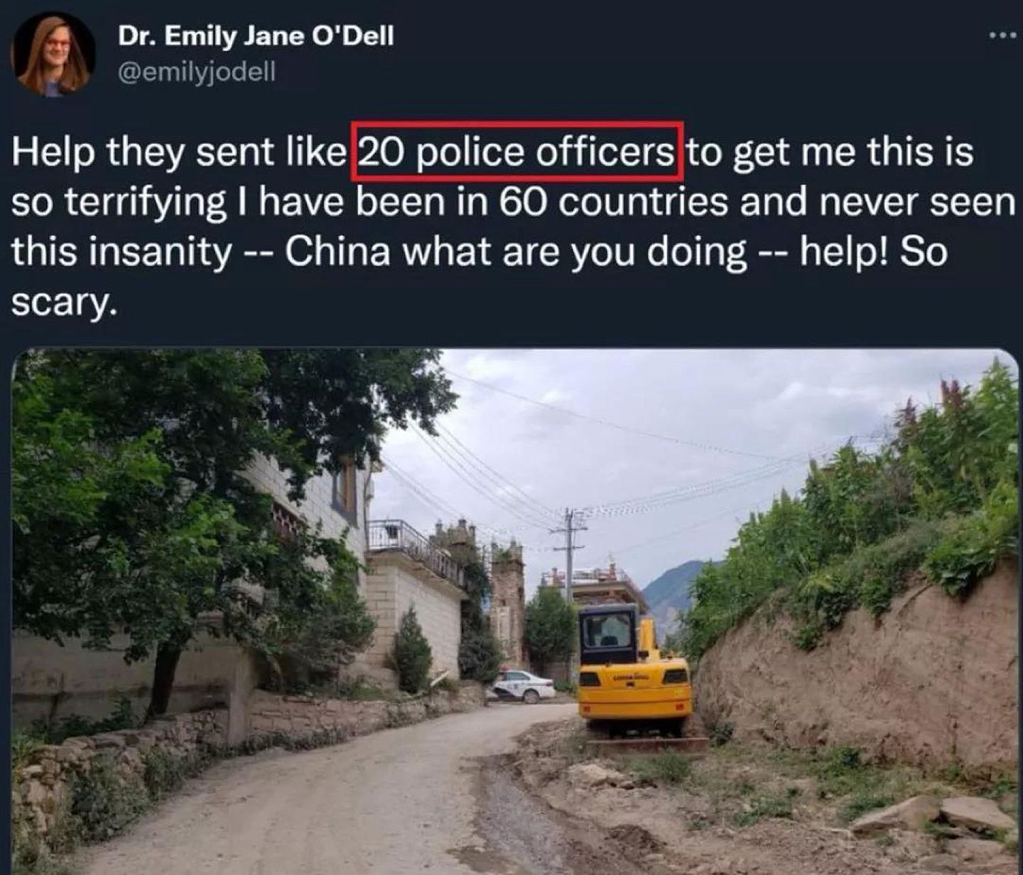 她宣称中国政府派出了20多名警察来抓她。（Twitter@Emily O’Dell）