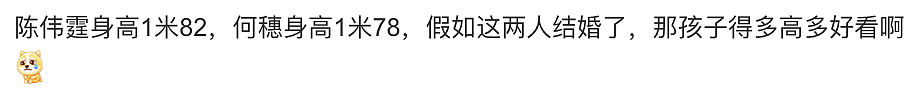 陈伟霆何穗恋情曝光？后者曾被误认是刘雯，两人坐车回家或已同居（组图） - 25