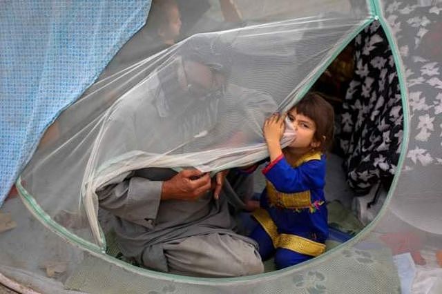许多人在喀布尔公园简易的帆布帐篷中睡眠过夜